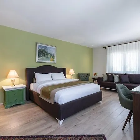 Sunolus Vineyard House 5* Kayseri