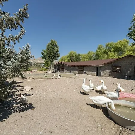 Sunolus Vineyard House Kayseri